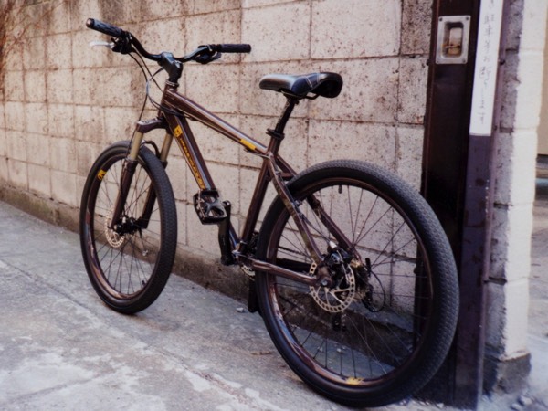 custom mountainbike prototype image